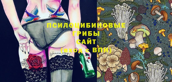 ECSTASY Билибино